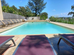 Mas provençal de charme au milieu des oliviers -Piscine-Clim